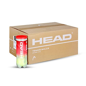 Head Championship